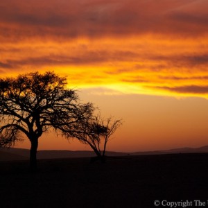 Featured Story on 1Life196Countries: Dune Top Thoughts – A Wander Through Namibia
