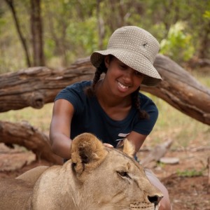 Working With Lions: My Time in Zambia