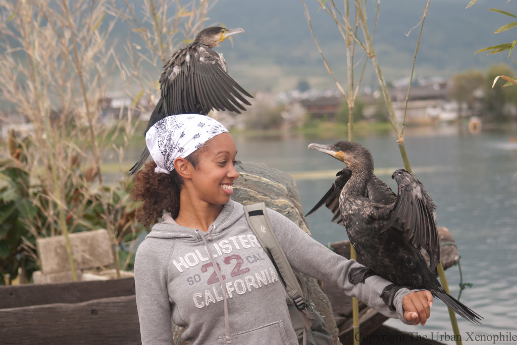 animal encounter