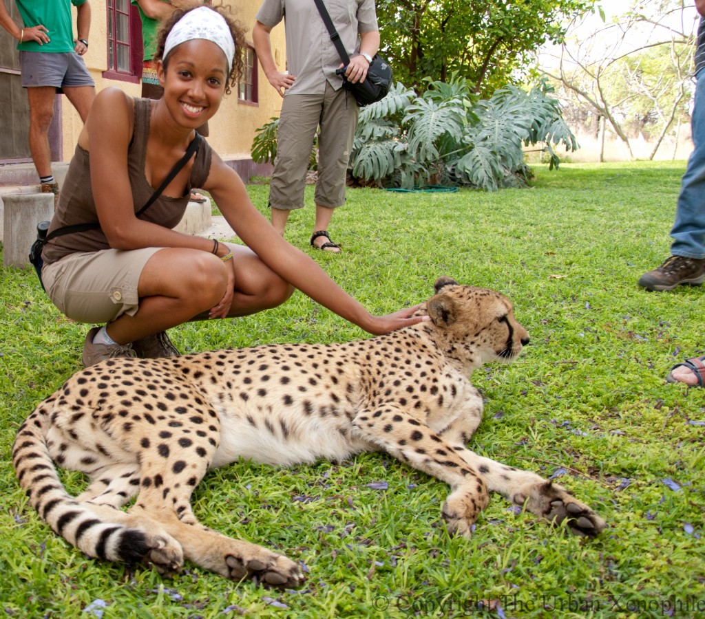 animal encounters